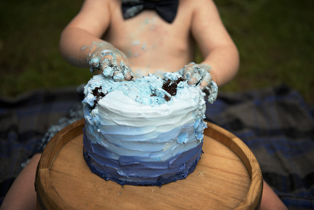 cakesmash-1st-birthday-first-birthday-child-photographer-lebanon-area-child-photographer-photography