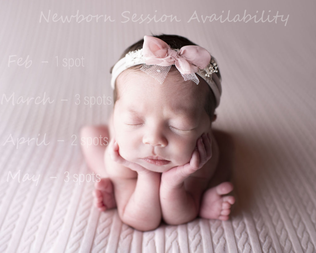 Hershey newborn photography Lebanon county newborn photographer studio
