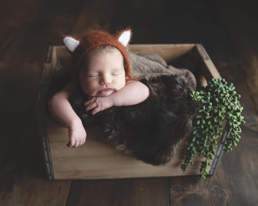 fox hat baby newborn photos