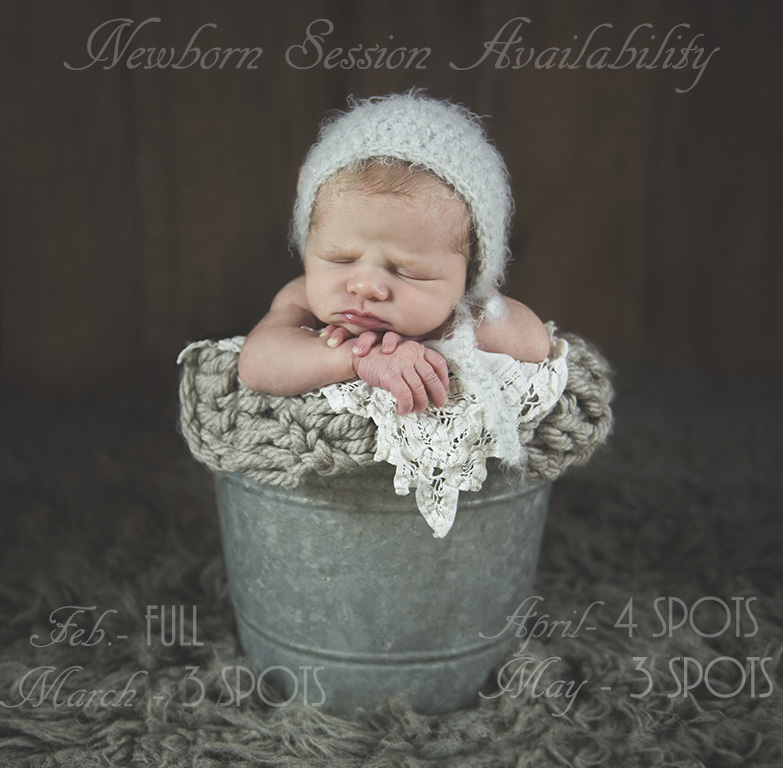 Newborn Portrait Session | Lebanon County Newborn Photographer