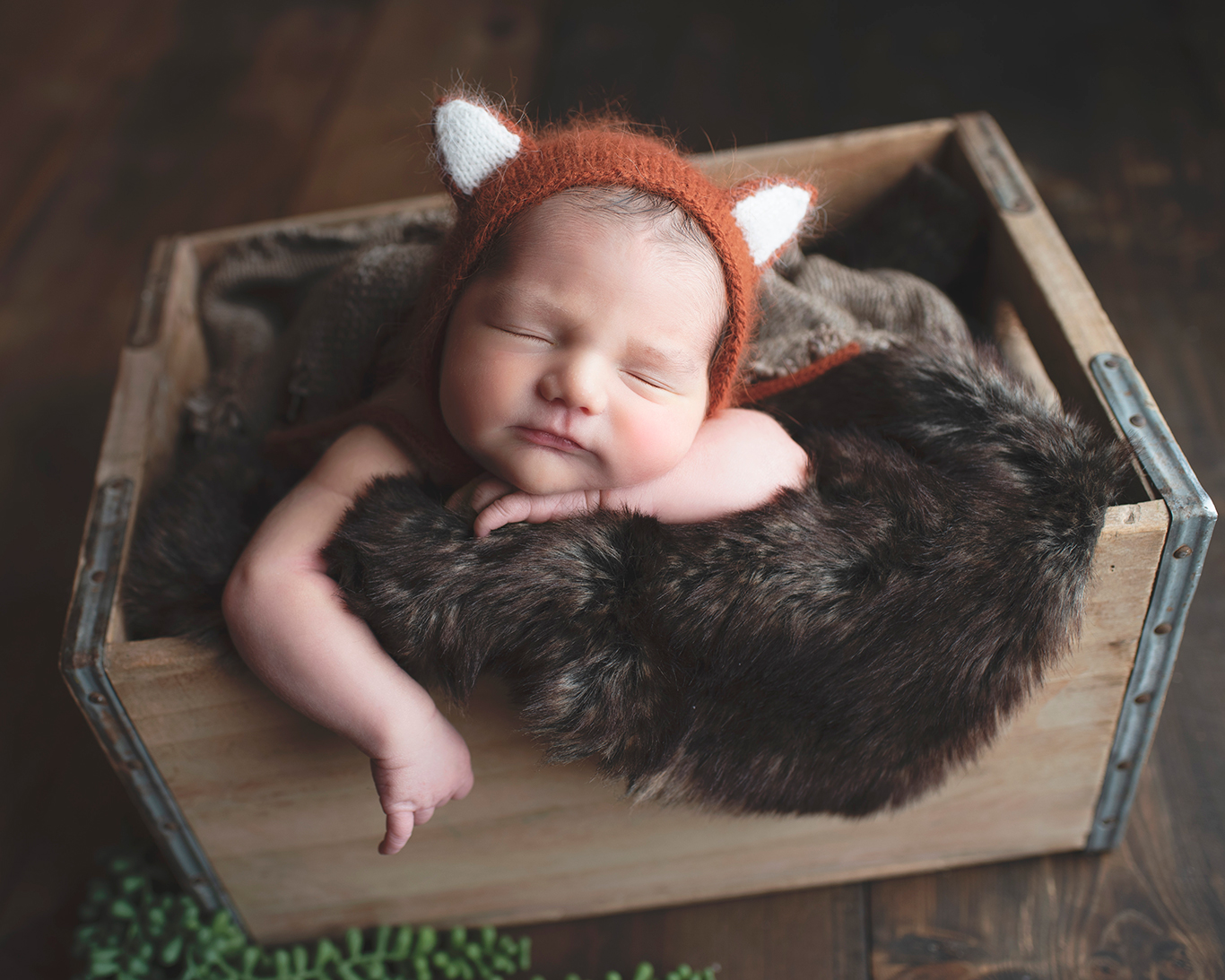 Finnick | Lebanon County Newborn Photography | Lebanon, Pennsylvania