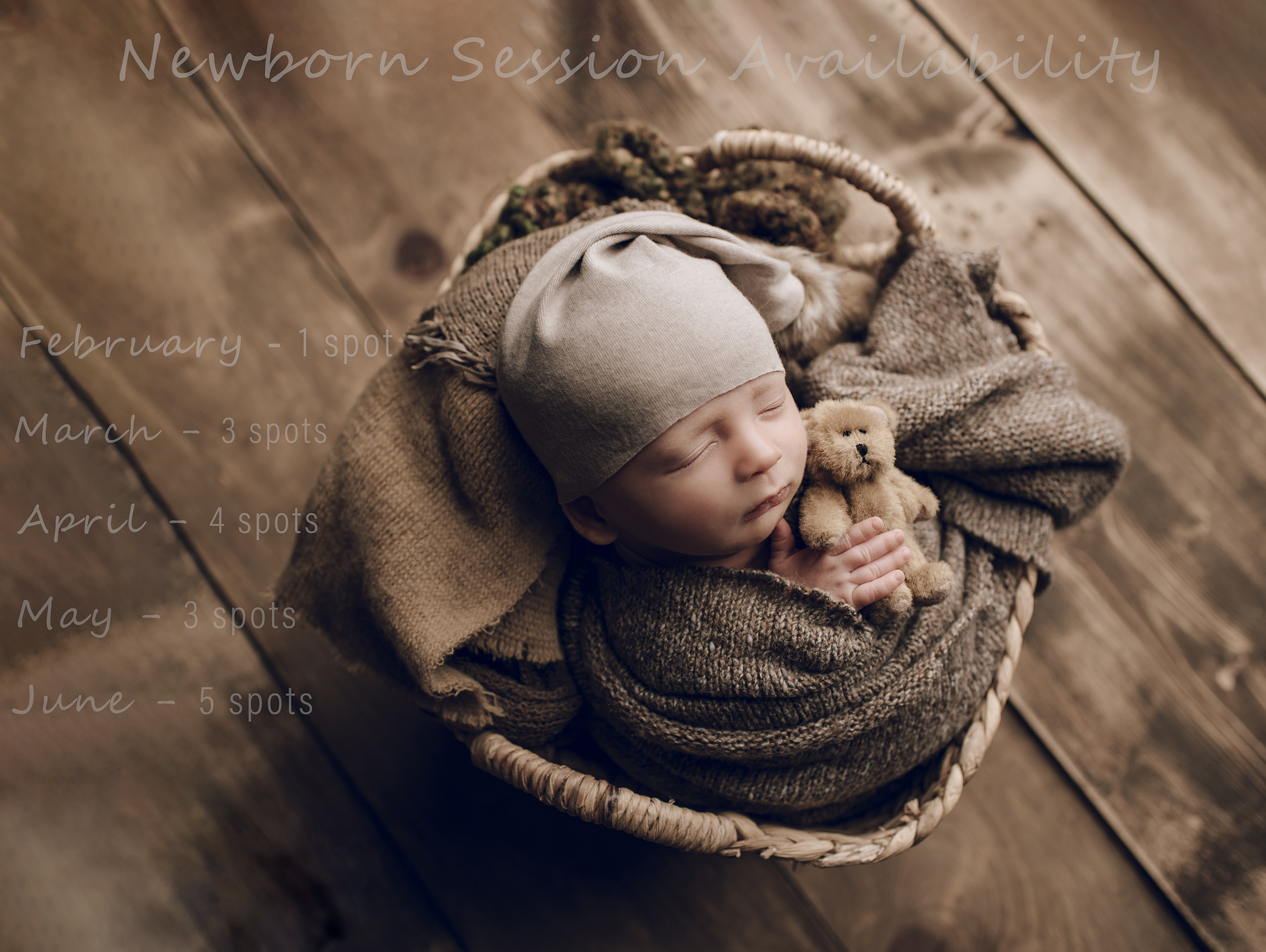 Upcoming Newborn Session Availability